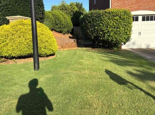 Cedric R.'s yard maintenance service result