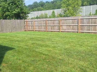 Ursula S.'s lawn service service result