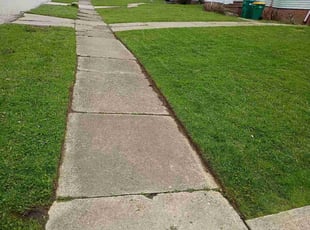 Leanne C.'s turf maintenance service result