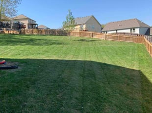 Sean m.'s grass cutting service result