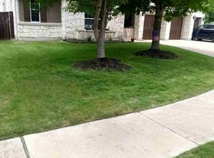 Terrance G.'s lawn service service result