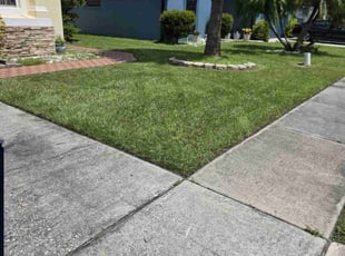 Allison J.'s grass maintenance service result