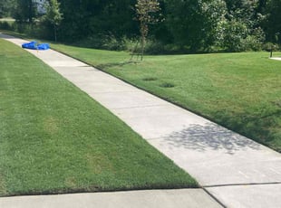 Lorene H.'s landscaping service result