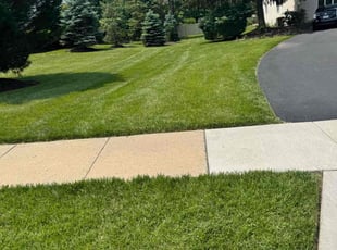 Kerry M.'s lawn care service result