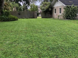 Jackson P.'s lawn care service result