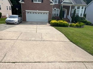 James B.'s turf care service result
