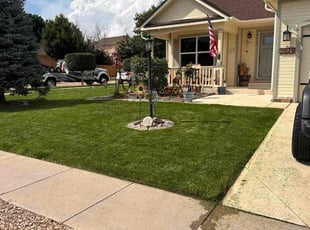 Matthew A.'s grass maintenance service result
