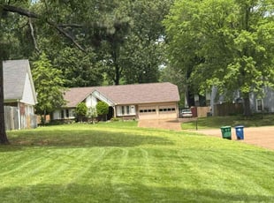 Marshay T.'s lawn care service result