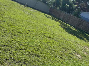 Marian P.'s lawn maintenance service result