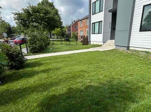 Traci E.'s lawn maintenance service result