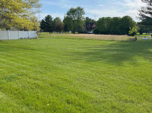 Jean R.'s turf care service result