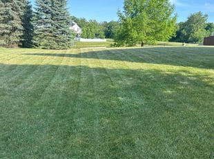 Jessica L.'s turf care service result
