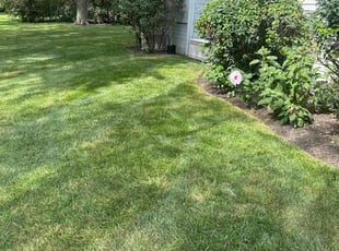 Carl F.'s turf maintenance service result