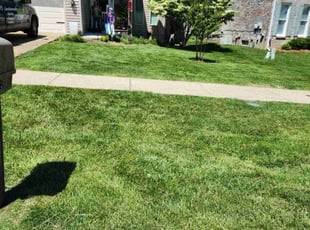 Joanna P.'s turf care service result