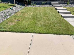 Liz M.'s lawn care service result
