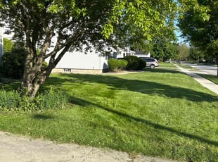 Denise A.'s turf maintenance service result