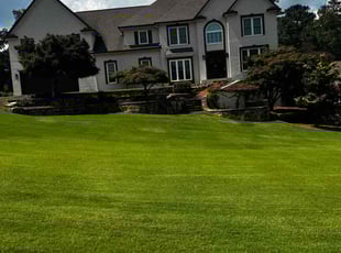 John P.'s lawn care service result