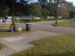 Catherine C.'s Bush Trimming service result