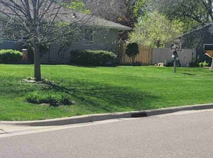 Reilley G.'s lawn maintenance service result