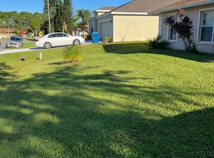 Linda H.'s turf care service result