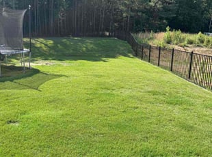John S.'s lawn care service result