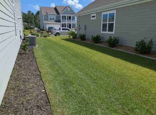 Tanya M.'s grass maintenance service result