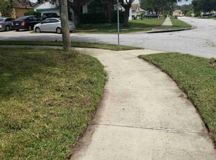 Tami S.'s turf maintenance service result