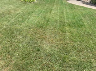 Derek J.'s lawn service service result