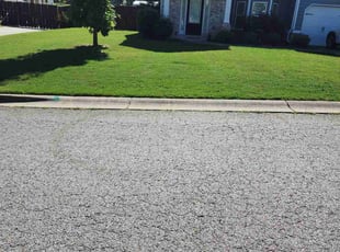 Todd T.'s turf maintenance service result