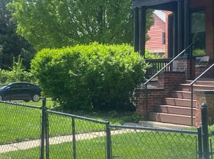 Vivien H.'s turf care service result