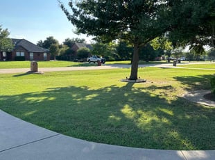 Rebecca M.'s lawn care services service result