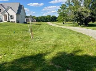 Jim D.'s grass maintenance service result