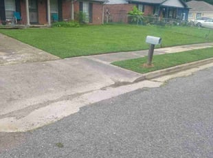 Debra C.'s turf maintenance service result