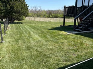 Gen O.'s turf care service result
