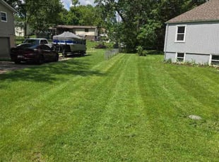 Mary Ann J.'s turf care service result