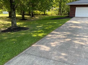 Brandon C.'s lawn service service result