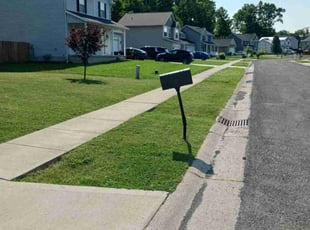 Lane T.'s yard work service result
