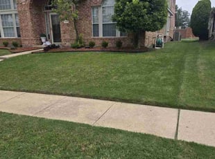 Elizabeth H.'s grass maintenance service result