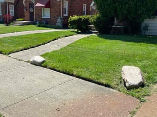 Jim S.'s turf maintenance service result