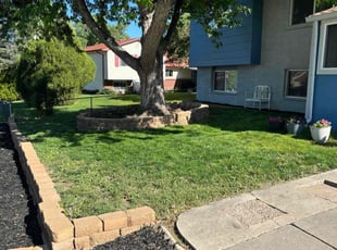 Cameron T.'s landscaping service result
