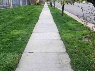 Lisa B.'s lawn maintenance service result