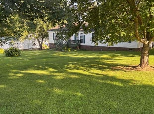 Johnny O.'s grass maintenance service result