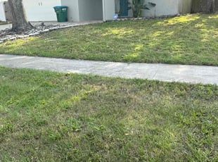 Jeremy W.'s lawn care service result