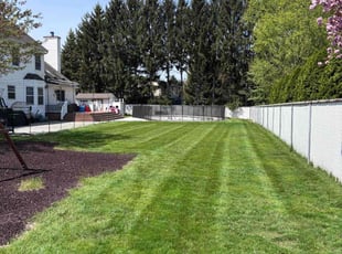 Carol K.'s turf care service result