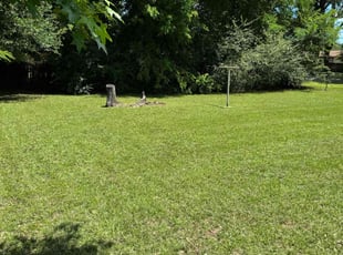Ephraim D.'s grass maintenance service result