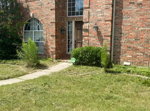Shanda C.'s Bush Trimming service result