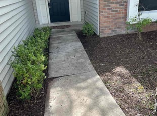 Krista H.'s Cleanups service result
