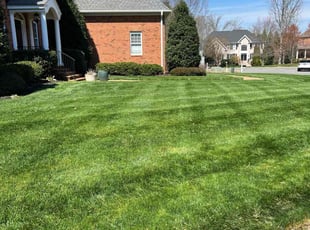 Josh O.'s lawn maintenance service result