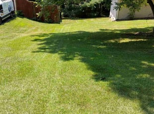 Carolyn P.'s grass cutting service result