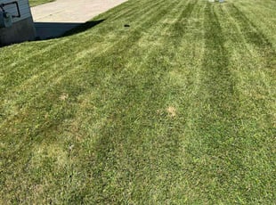 Dorothy B.'s lawn care services service result